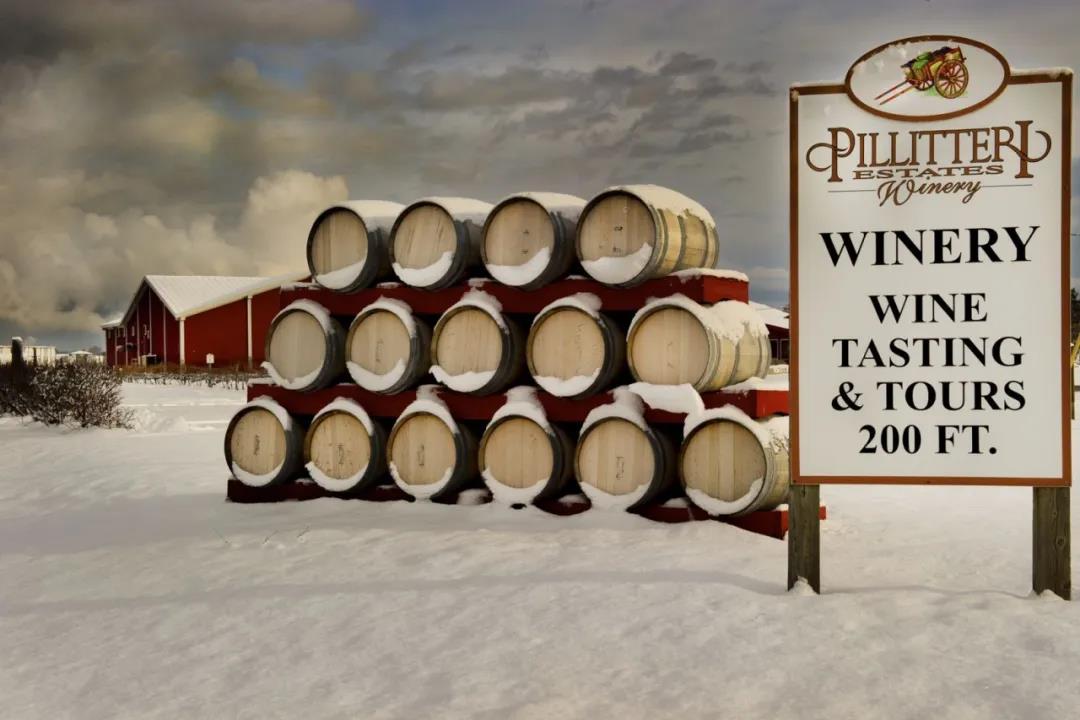 世界最大的冰酒酒庄——加拿大Pillitteri（派利特瑞）酒庄